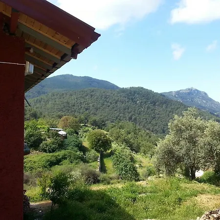 Iztuzu Seaview