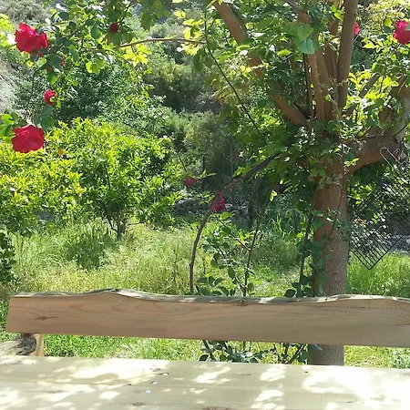 Hébergement de vacances Iztuzu Seaview Dalyan