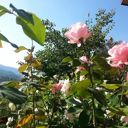 Iztuzu Seaview Σπίτι διακοπών Dalyan