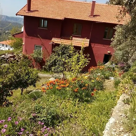 Iztuzu Seaview * Dalyan